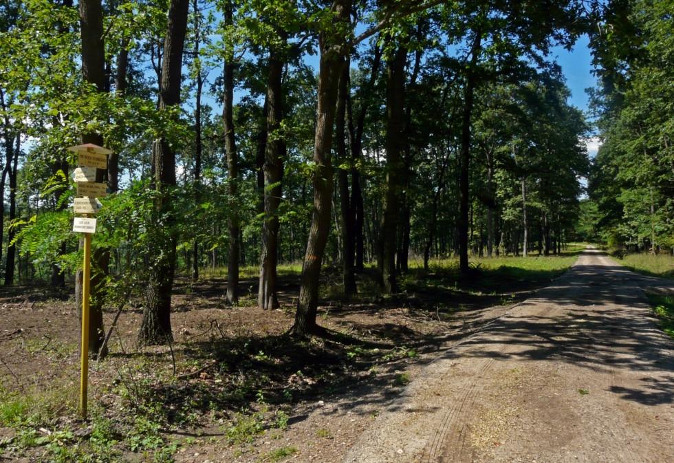 Kováčovské kopce – Burda